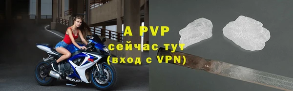 шишки Богданович