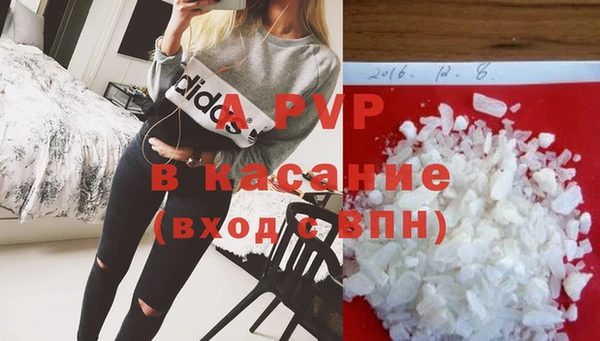 шишки Богданович