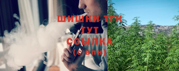 шишки Богданович