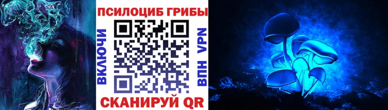 Галлюциногенные грибы Psilocybe  Малмыж 